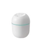 220ML Mini Portable Ultrasonic Colorful Egg Humidifier With LED Light