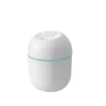 220ML Mini Portable Ultrasonic Colorful Egg Humidifier With LED Light