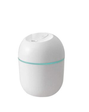 220ML Mini Portable Ultrasonic Colorful Egg Humidifier With LED Light