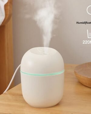 220ML-Mini-Portable-Ultrasonic-Colorful-Egg-Humidifier-With-LED-Light.jpg