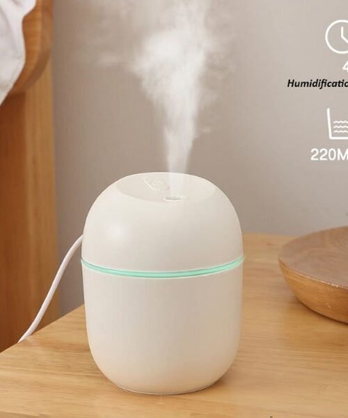 220ML Mini Portable Ultrasonic Colorful Egg Humidifier With LED Light