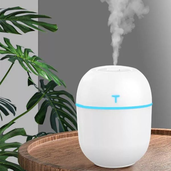 220ML Mini Portable Ultrasonic Colorful Egg Humidifier With LED Light