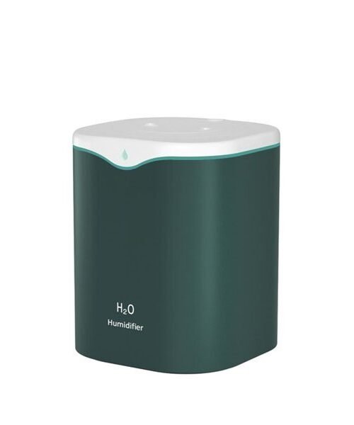 2L Double Nozzle Aromatherapy Air Humidifier With Colorful LED Light