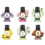 Pure-Natural-Plant-Essential-Oils-4.jpg