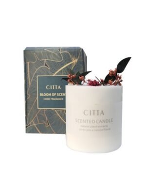 Citta Strong Scented Aromatherapy Candles Without Glass Cover (Fruit Temptation/Lemon Verbena/Orange/Fresh Spring)