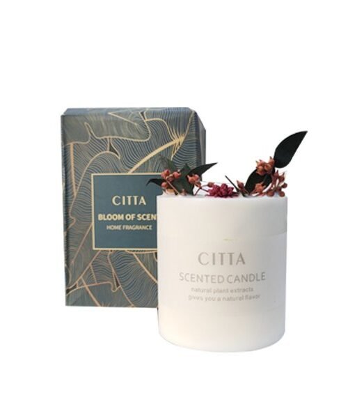Citta Strong Scented Aromatherapy Candles Without Glass Cover (Fruit Temptation/Lemon Verbena/Orange/Fresh Spring)